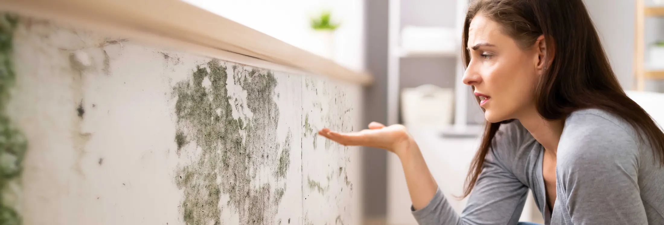 Fallrohrsanierung Magdeburg Fallrohrsanierung Magdeburg